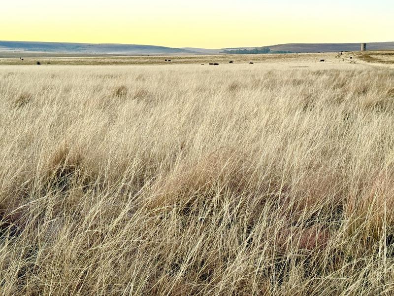 0 Bedroom Property for Sale in Warden Free State